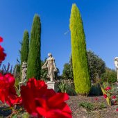 panograf-img_0299.jpg
